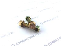 Болт M12x1,5 L55 с гайкой привода ТНВД (90003800160)