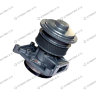 Насос антифриза (помпа) F3000 (612600061603)