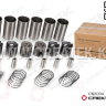 Поршневая группа WD618 Евро2 Креатек CK8004 (WD618-SPT)
